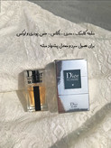 ادکلن ۲۵ میل شرکتی دیور